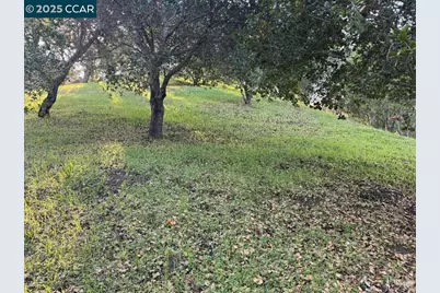 43 Cuesta Way, Walnut Creek, CA 94597 - Photo 15