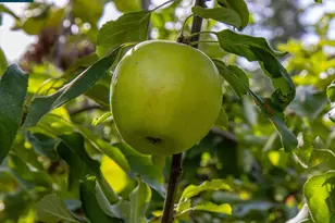 850 Leeds Ct, Benicia, CA 94510 - Photo 45