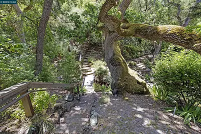 345 Shire Oaks Court, Lafayette, CA 94549 - Photo 7