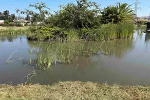 319 Winnipeg Green, Fremont, CA 94538 - Photo 45