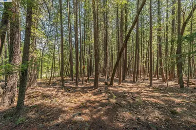 1371 Eagle Creek Loop Rd, Coffee, CA 96091 - Photo 33