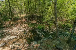 1371 Eagle Creek Loop Rd, Coffee, CA 96091 - Photo 29