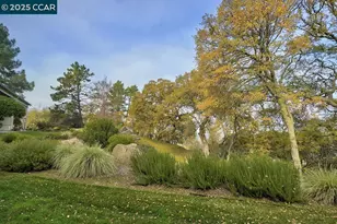 2748 Ptarmigan Dr, Walnut Creek, CA 94595 - Photo 21