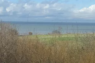 2269 Cypress Ave, San Pablo, CA 94806 - Photo 3