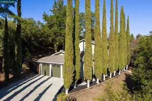 320 Miranda Ln, Alamo, CA 94507 - Photo 3