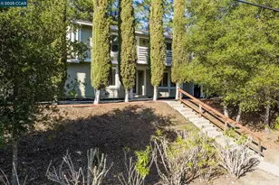 320 Miranda Ln, Alamo, CA 94507 - Photo 5