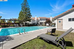 313 Camino Arroyo E, Danville, CA 94506 - Photo 29