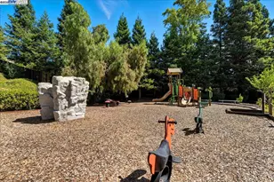 313 Camino Arroyo E, Danville, CA 94506 - Photo 27