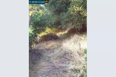 0 Ruthland, Oakland, CA 94611 - Photo 3