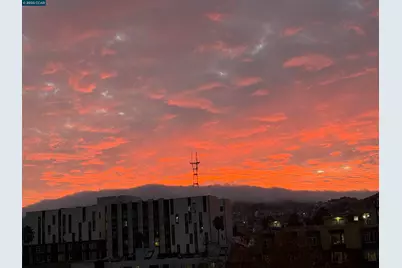 1515 15th St #501, San Francisco, CA 94103 - Photo 45