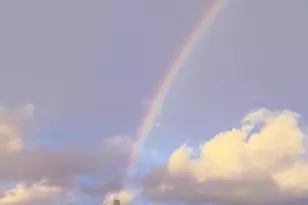 1515 15th St, San Francisco, CA 94103 - Photo 45