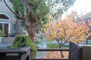 219 Commons Ln, Foster City, CA 94404 - Photo 7