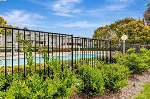 3507 Buttonwood Terrace, Fremont, CA 94536 - Photo 33