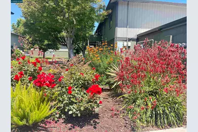 1133 Meadow Ln #53, Concord, CA 94520 - Photo 33