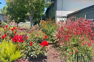 1133 Meadow Ln, Concord, CA 94520 - Photo 33