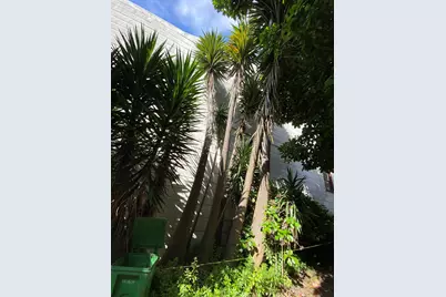 3529 Mission St, San Francisco, CA 94110 - Photo 1