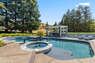 1124 Merlin Ct, Alamo, CA 94507 - Photo 49