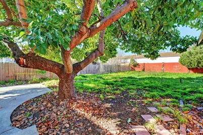 522 B St, Hayward, CA 94541 - Photo 13