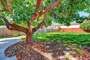 522 B St, Hayward, CA 94541 - Photo 13