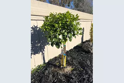 91 Lake Dr, Antioch, CA 94509 - Photo 35