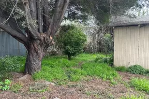 1024 50th Ave, Oakland, CA 94601 - Photo 11