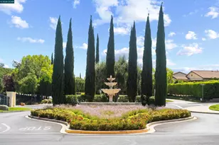 1643 Gamay Ln, Brentwood, CA 94513 - Photo 53