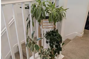 50 Driftwood Cir, Bay Point, CA 94565 - Photo 3