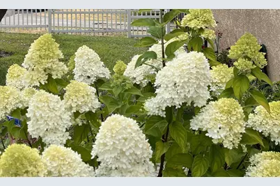 3975 Wilson Ave, Castro Valley, CA 94546 - Photo 31