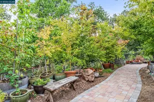 411 La Vista Rd, Walnut Creek, CA 94598 - Photo 55