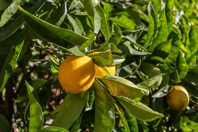 3340 Harrison St, Oakland, CA 94611 - Photo 17