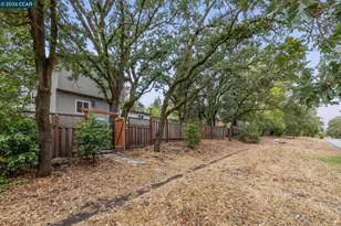 50 Vista Ln, Alamo, CA 94507 - Photo 59