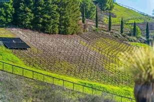 138 Sunhaven Rd, Danville, CA 94506 - Photo 49