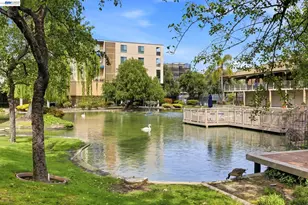 300 Civic Dr, Walnut Creek, CA 94596 - Photo 33