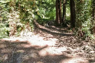 15475 Big Basin Wy, Boulder Creek, CA 95006 - Photo 41