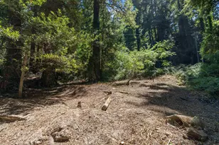 15475 Big Basin Wy, Boulder Creek, CA 95006 - Photo 35