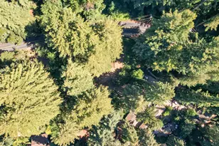 15475 Big Basin Wy, Boulder Creek, CA 95006 - Photo 43