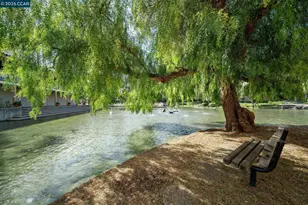 320 Civic Dr, Walnut Creek, CA 94596 - Photo 19