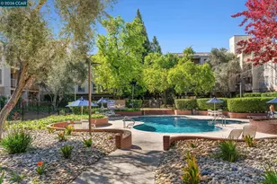 340 Civic Dr, Walnut Creek, CA 94596 - Photo 31