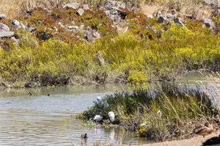 166 Bayside Ct, Richmond, CA 94804 - Photo 45