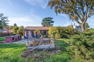 457 Nora Ct, Walnut Creek, CA 94597 - Photo 37