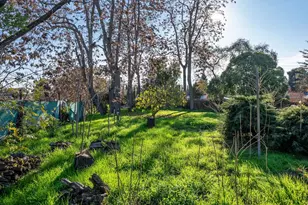 457 Nora Ct, Walnut Creek, CA 94597 - Photo 41