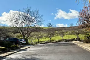 36 Savona Ct, Danville, CA 94526 - Photo 41