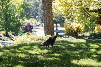 900 Terra California Drive #2, Walnut Creek, CA 94595 - Photo 27