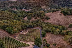 1018 Promenade St, Hercules, CA 94547 - Photo 3