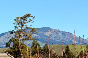 3000 Fostoria Cir, Danville, CA 94526 - Photo 17