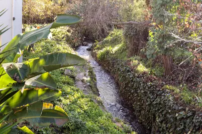 1139 Cornell Ave, Albany, CA 94706 - Photo 43