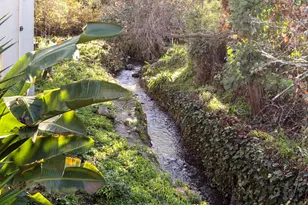 1139 Cornell Ave, Albany, CA 94706 - Photo 43