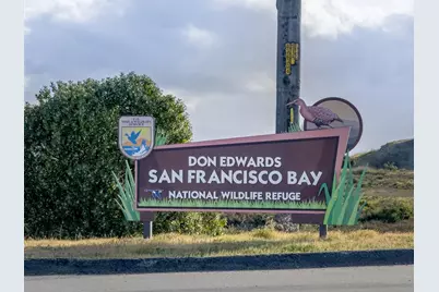 35875 Argonne St, Newark, CA 94560 - Photo 37