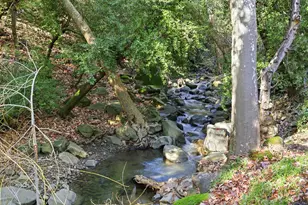 2397 Kilkare Rd, Sunol, CA 94586 - Photo 35