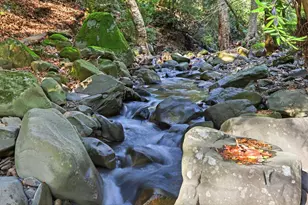 2397 Kilkare Rd, Sunol, CA 94586 - Photo 9